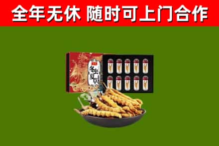 从江县回收冬虫夏草价格